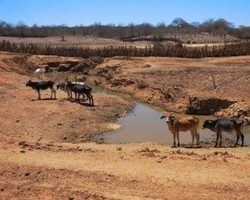 Convênio de R$ 303 milhões para seca deve ser assinado nesta sexta 