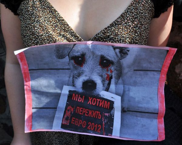 Ativistas protestam por direitos de cachorros vira-latas na Ucrânia