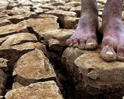 Mais de 100 cidades devem ter reforço para combater seca