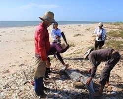Biomade acompanha a pesca do Camurupim no Delta do Parnaíba  
