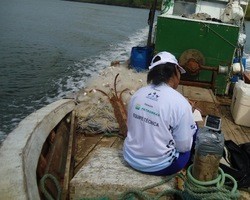 Técnicos do Biomade realizam atividade de embarque e coletam dados da fauna marinha  
