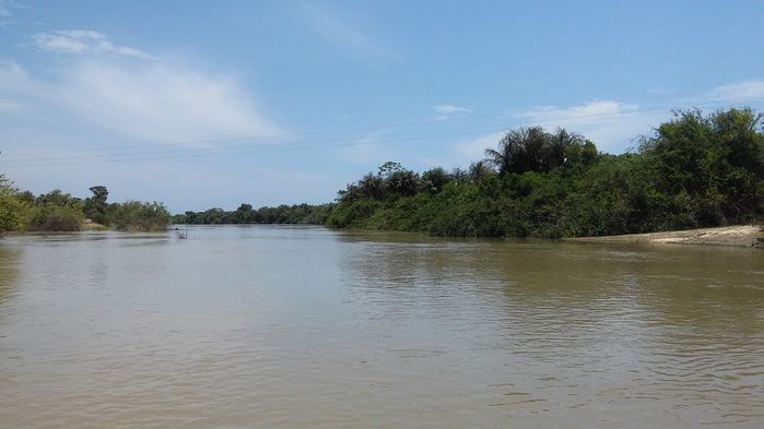 Rio Longá recebe as primeiras águas do ano - Imagem 6