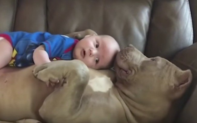 Vídeo de bebê no colo de cachorro com cara de mau viraliza na web - Imagem 1