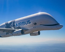 Baleia voadora: Avião Beluga XL da Airbus começa a operar