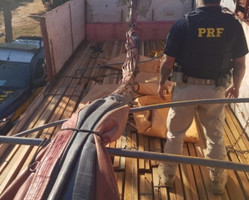 PI: motorista é preso com 19,0 m³ de madeira ilegal na BR-316