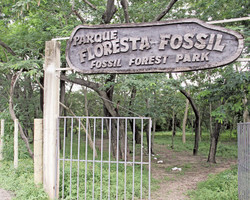  Parque Floresta Fóssil ganha estrutura para visitação