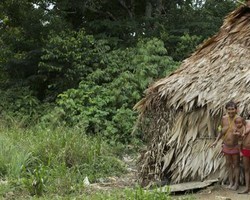 Covid-19 no Brasil: povos de 34 etnias indígenas já foram contaminados