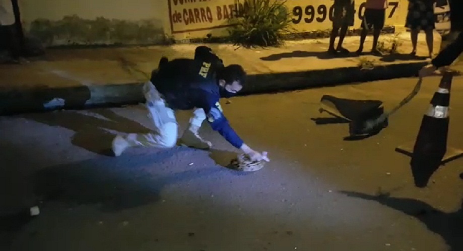 Vídeo: PRF captura jiboia que estava sob a via na BR-316, em Teresina - Imagem 1