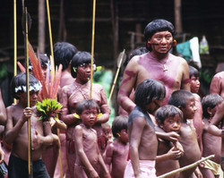 Covid-19 pode infectar até 40% de indígenas yanomami, diz estudo
