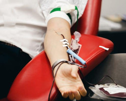 Anvisa mantém veto a doação de sangue por homens gays 