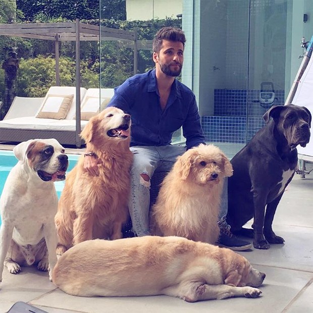Cachorra de Bruno Gagliasso destrói sofá de grife de R$ 500 mil; fotos - imagem 24017