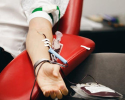 Anvisa autoriza doação de sangue por homens gays