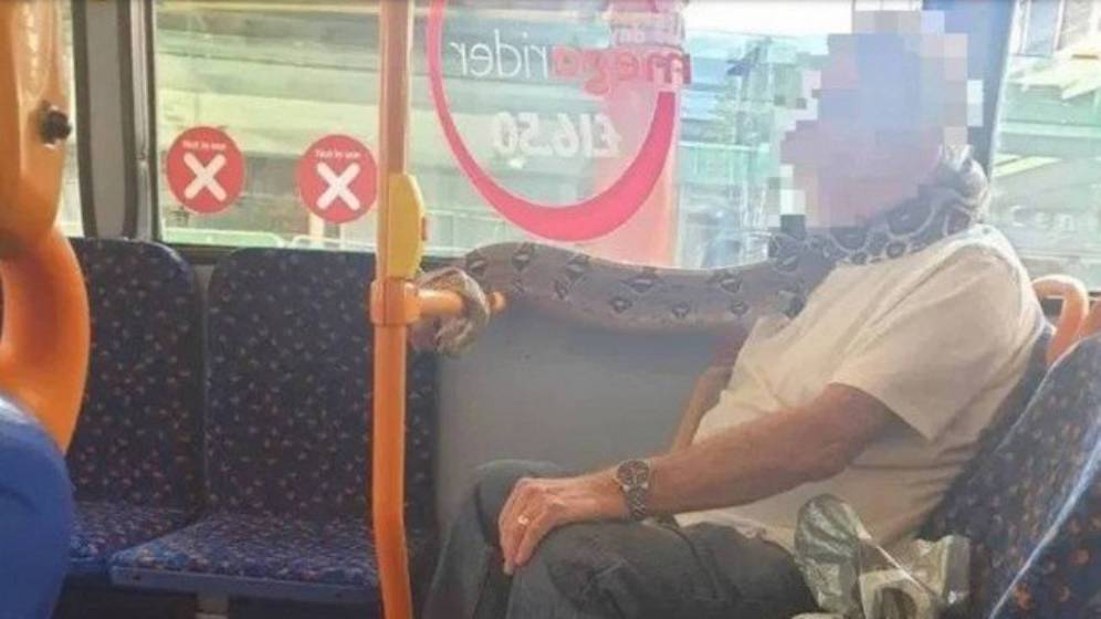 Passageiro é visto com cobra no pescoço em ônibus (Reprodução)