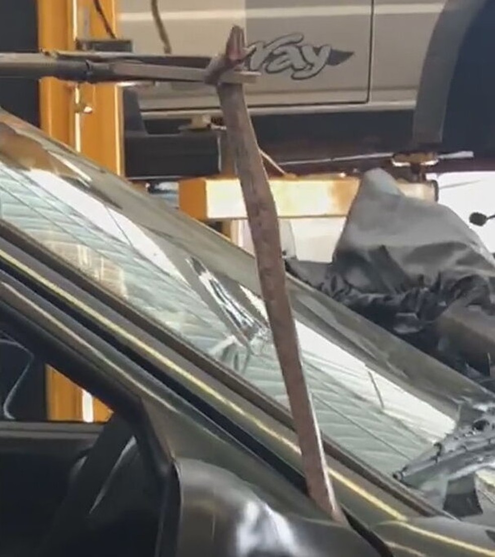 Cobra é encontrada dentro de carro durante conserto em oficina; vídeo  - Imagem 1