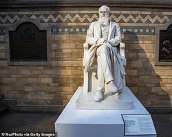 Museu de Londres vai revisar coleção potencialmente racista de Darwin