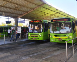 Governo doará 2 mil cestas básicas a motoristas e cobradores de ônibus