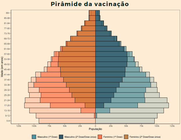 Pirâmide de Vacinação no Piauí