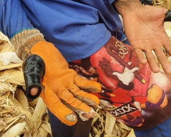 Piauienses são resgatados recebendo R$ 5 para colher palha em Goiás