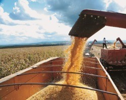 Agropecuária e Serviços são responsáveis pela queda do PIB no Piauí