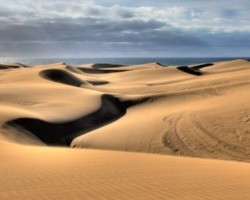 Pontos de sexo estão degradando ecossistema de dunas de ilha espanhola