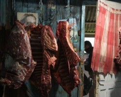 Carne de cavalo é permitida para comercialização no Brasil? Veja