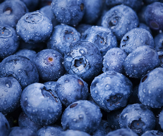 Mirtilos ou Blueberries