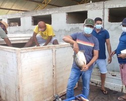 Prefeito João Luiz mantém tradição de distribuição do pescado em Monsenhor Gil