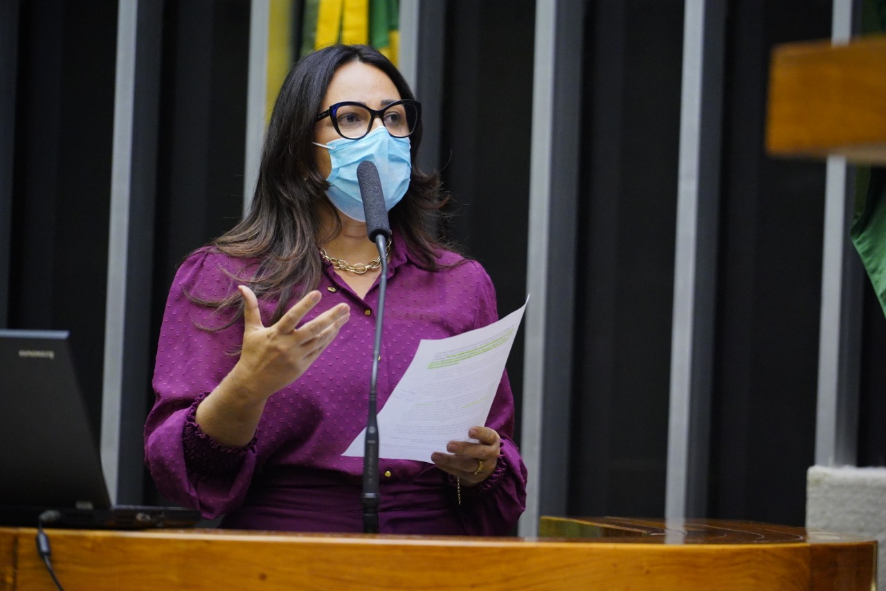 Deputada apresenta projeto para redução da cesta básica (Pablo Valadares / Agencia Câmara)