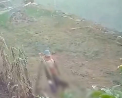 Homem é flagrado em vídeo fazendo sexo com cadela grávida em terreno baldio
