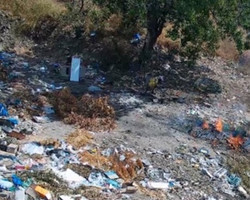 Multa para quem joga lixo em local proibido pode chegar a quase R$ 4 mil