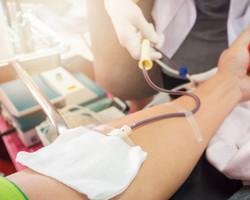 Clubes Rotary lançam campanha para doação de sangue no Hemopi