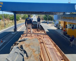 PRF apreende carregamento de madeira ilegal na BR-230 em Floriano