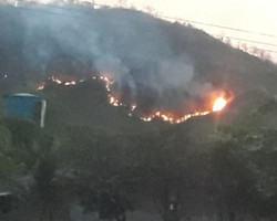Incêndio em Santa Filomena/PI já dura vários dias e ameaça plantações