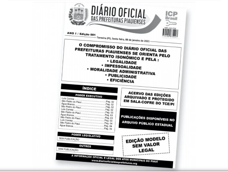 Diário Oficial das Prefeituras Piauienses garante transparência e economia (Foto: Reprodução)
