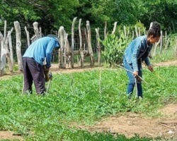 18 municípios do Piauí recebem kits de irrigação para agricultura familiar