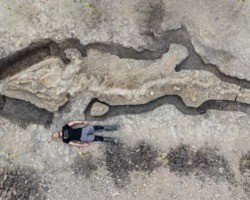 Fóssil de 'dragão marinho' gigante é encontrado por acaso na Inglaterra