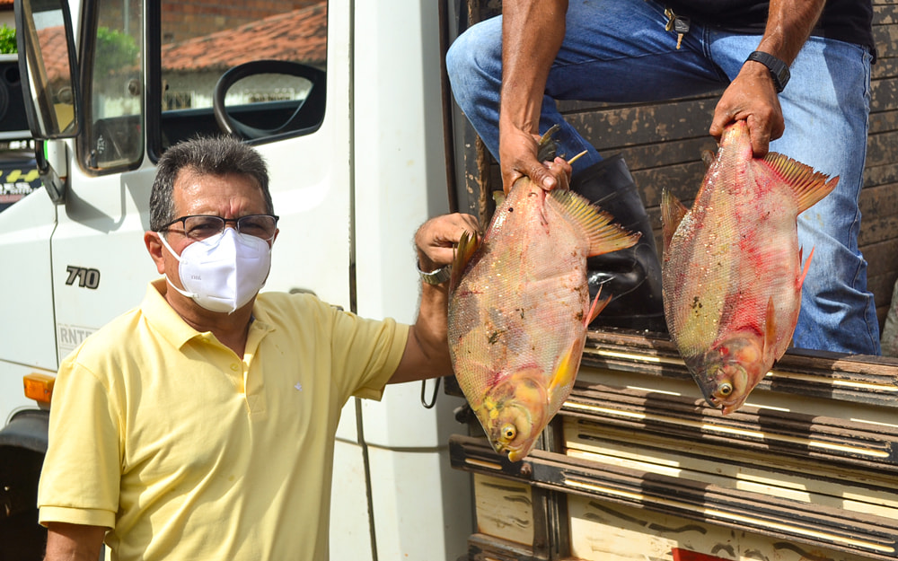 Prefeitura Municipal realiza entrega de 2 toneladas de peixes - Imagem 3