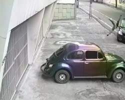 Motorista tem celular roubado e atropela criminoso após assalto no Ceará
