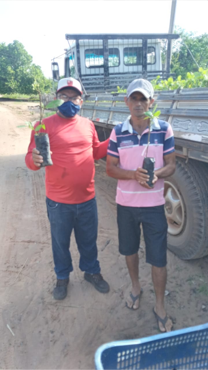Prefeitura de Joaquim Pires entrega 4.000 mudas de caju aos agricultores - Imagem 5