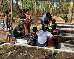 Crianças aprendem a cultivar alimentos orgânicos na zona Leste de Teresina