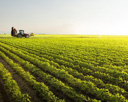 Valor da Produção Agropecuária de 2022 pode chegar a R$ 1,188 trilhão