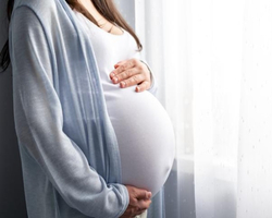 STF nega aborto a grávida de gêmeos siameses sem chances de sobrevivência 