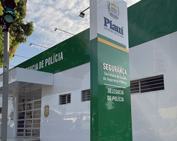 Operação desarticula quadrilha de furto e venda de animais no Piauí