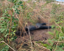 Corpo em decomposição é encontrado no Vale do Gavião em Teresina
