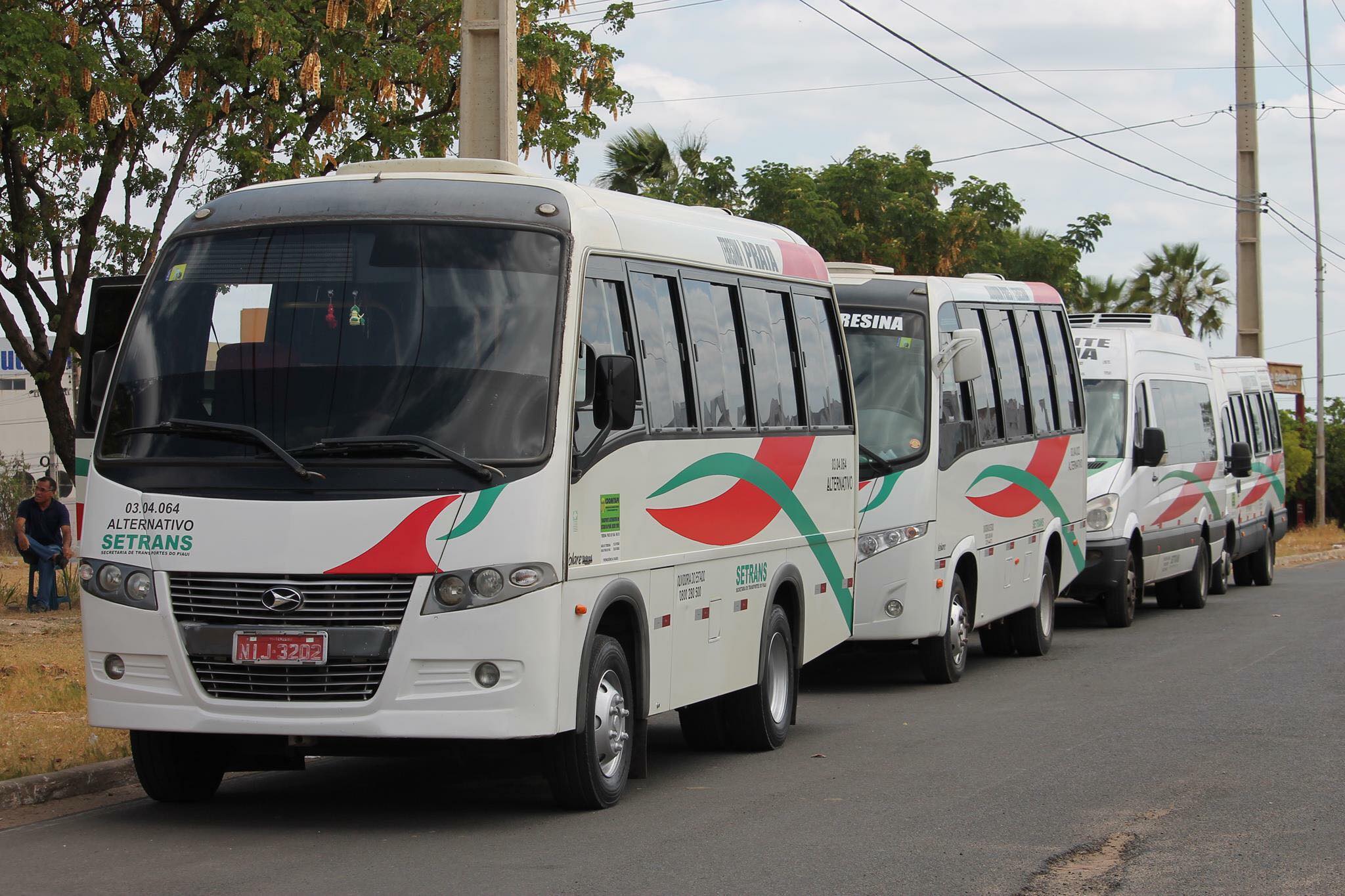 Transporte gratuito será disciplinado pelo Governo do Piauí (Foto: Divulgação/Coomitapi)