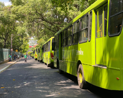 Strans emite ordem de serviço com 100% da frota de ônibus neste domingo