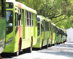Sintetro diz que apenas 54 ônibus circularam em Teresina durante a eleição
