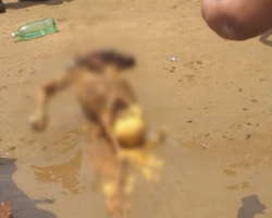 Banhistas encontram ossada humana na praia da Ponta Negra; imagens fortes