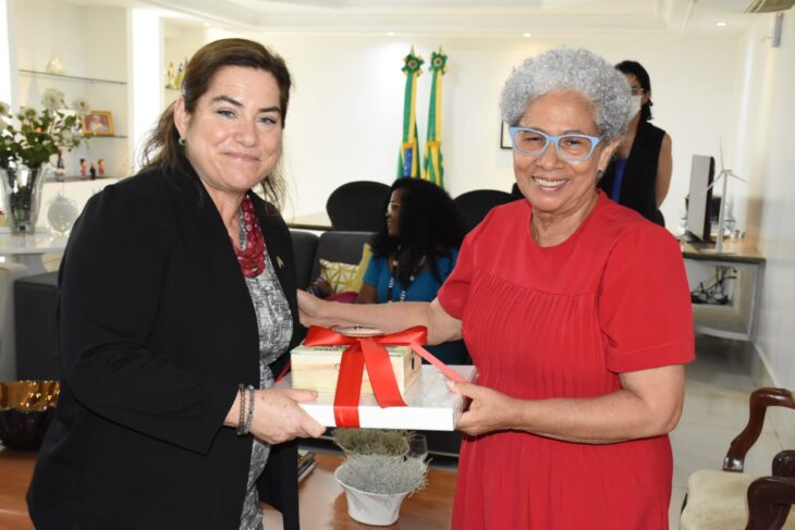 Governadora Regina Sousa recebe cônsul-geral dos Estados Unidos