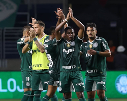 Palmeiras é campeão Brasileiro após América-MG vencer o Internacional